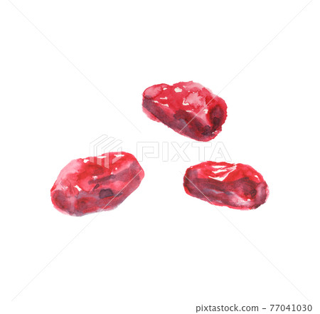 Illustration of jujube drawn in watercolor 77041030