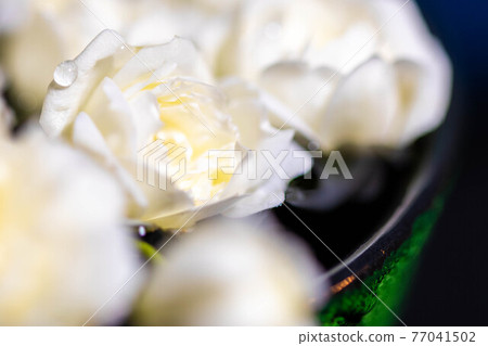 Lady Banks' rose floating in a water-filled inoguchi Lady Banks' rose floating in a water-filled inoguchi 77041502