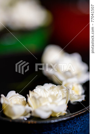 Lady Banks' rose on the watered inoguchi 77041507