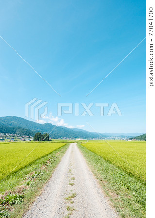 國家景觀在夏天 77041700