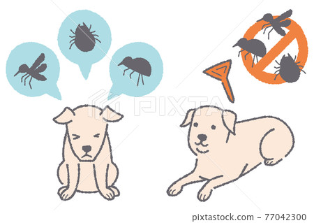 Illustration of a dog to prevent parasites Illustration of a dog to prevent parasites 77042300