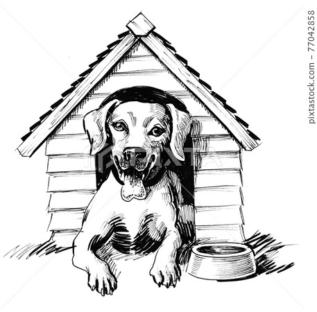 Cute dog in dog house. Ink black and white drawing Cute dog in dog house. Ink black and white drawing 77042858