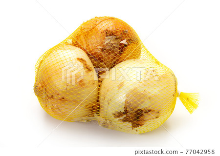 New Onion 77042958