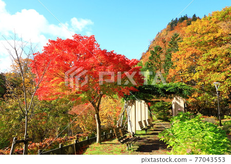 Jozankei Onsen Futami Park in autumn colors Futami Jozan Road 77043553