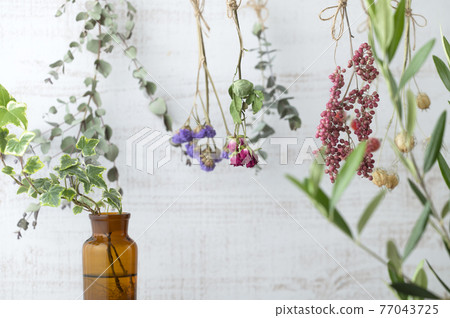 Dried flowers and greens Dried flowers and greens 77043725