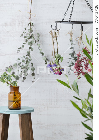Dried flowers and greens Dried flowers and greens 77043726