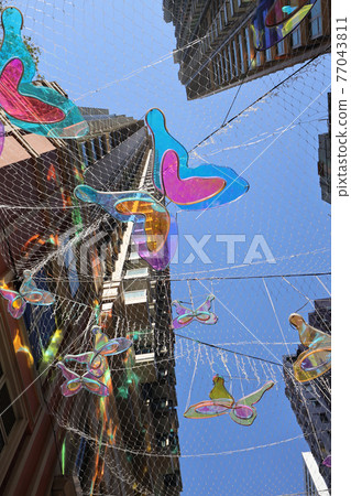 visual effect of Butterflies at Lee Tung Avenue 1 Jan 2021 visual effect of Butterflies at Lee Tung Avenue 1 Jan 2021 77043811