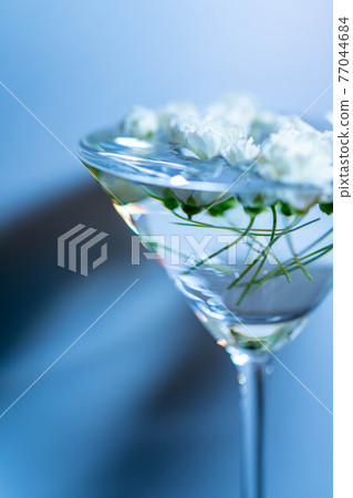 White lady bank's rose floating in a cocktail glass filled with water White lady bank's rose floating in a cocktail glass filled with water 77044684