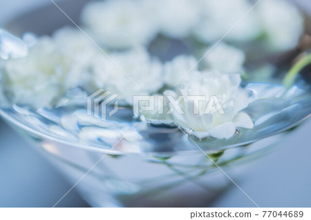 White lady bank's rose floating in a cocktail glass filled with water White lady bank's rose floating in a cocktail glass filled with water 77044689