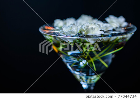 White lady bank's rose floating in a cocktail glass filled with water 77044734