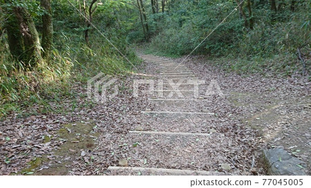 樓梯山路 樓梯山路 77045005