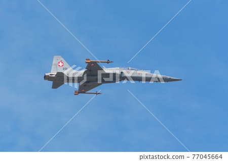 Swiss Air Force F-5E Tiger II Fighter Swiss Air Force F-5E Tiger II Fighter 77045664