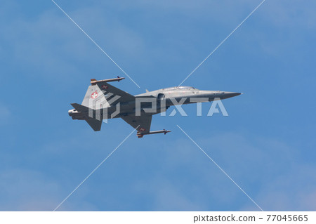 Swiss Air Force F-5E Tiger II Fighter 77045665