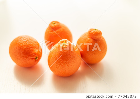 出生於佛羅里達州 Mineo La Orange 77045872