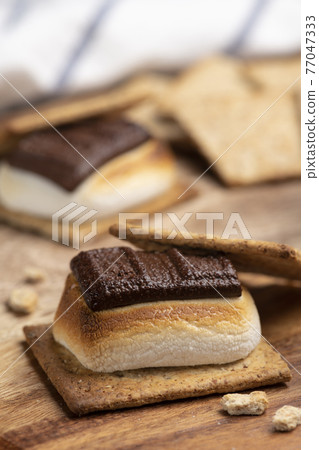 S'more with baked marshmallows and chocolate sandwiched between crackers 77047333