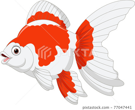 Cartoon goldfish on a white background 77047441