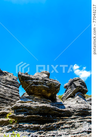 七塚石灰岩洞奇石化石林[長崎縣西海市] 77048217