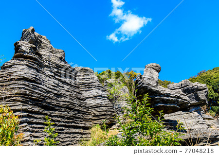 Nanatsugama Limestone Cave's strange rock fossil forest [Saikai City, Nagasaki Prefecture] 77048218