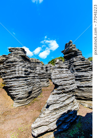 七塚石灰岩洞奇石化石林[長崎縣西海市] 77048223