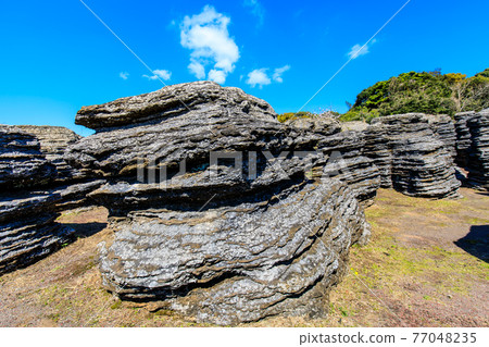 Nanatsugama Limestone Cave's strange rock fossil forest [Saikai City, Nagasaki Prefecture] 77048235