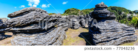 Nanatsugama Limestone Cave's strange rock fossil forest panorama [Saikai City, Nagasaki Prefecture] 77048236