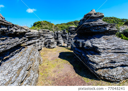 七塚石灰岩洞奇石化石林[長崎縣西海市] 77048241