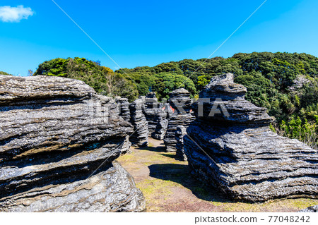 七塚石灰岩洞奇石化石林[長崎縣西海市] 77048242