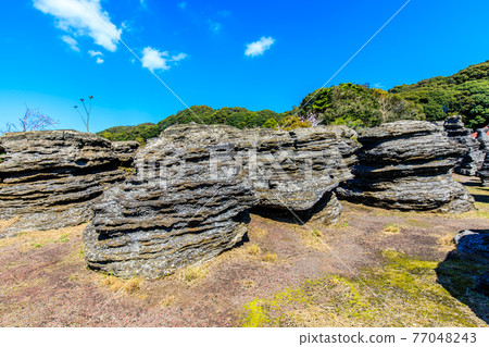 七塚石灰岩洞奇石化石林[長崎縣西海市] 77048243