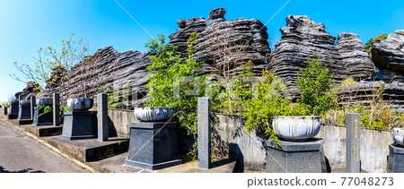 七塚石灰岩洞奇石化石森林全景[長崎縣西海市] 77048273