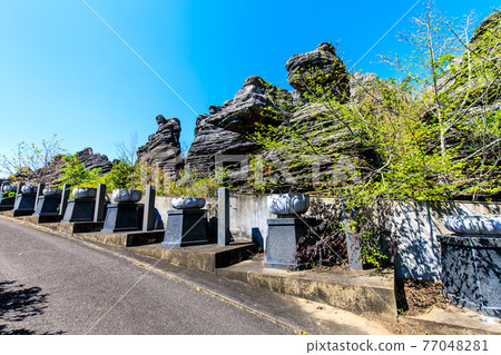 七塚石灰岩洞奇石化石林[長崎縣西海市] 77048281