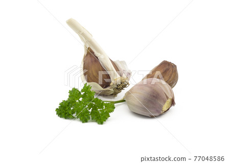 Garlic cloves and parsley twig on white Garlic cloves and parsley twig on white 77048586