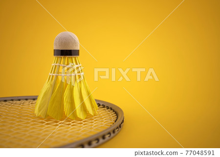 Badminton feather shuttlecock on badminton racket 77048591
