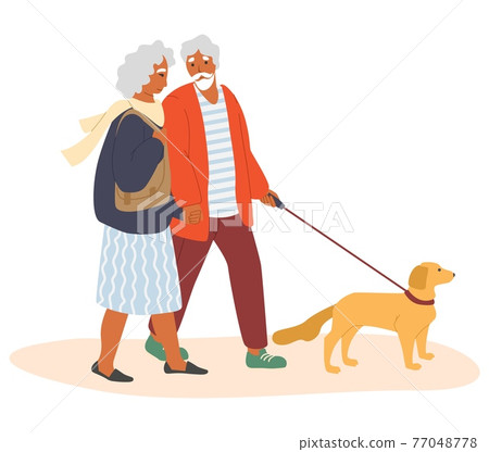 Elderly couple walking with pet dog, flat vector illustration. Senior people active lifestyle, outdoor leisure activity. 77048778