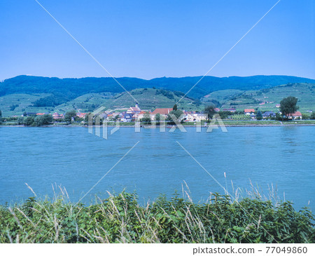 Austrian vineyards and small villages along the Donau River 77049860
