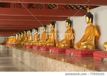 Row of buddha statues. Old ruins of Wat Phra Mahathat Voramahavihan temple, Nakhon Si Thammarat. Famous tourist attraction landmark. Thai History architecture. Row of buddha statues. Old ruins of Wat Phra Mahathat Voramahavihan temple, Nakhon Si Thammarat. Famous tourist attraction landmark. Thai History architecture. 77050103
