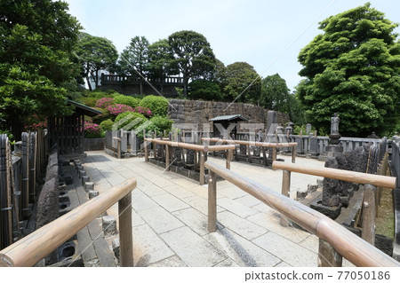 Sengakuji Temple (Takanawa) Sengakuji Temple (Takanawa) 77050186