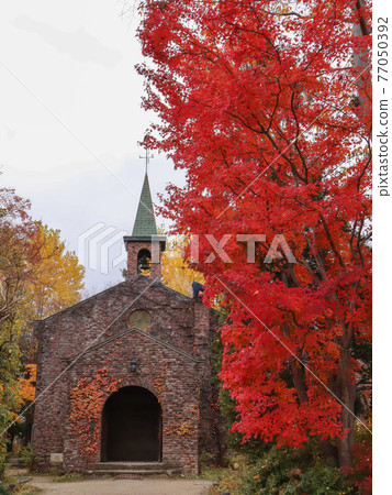 Museum of autumn leaves Museum of autumn leaves 77050392