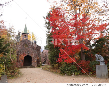 Museum of autumn leaves 77050393