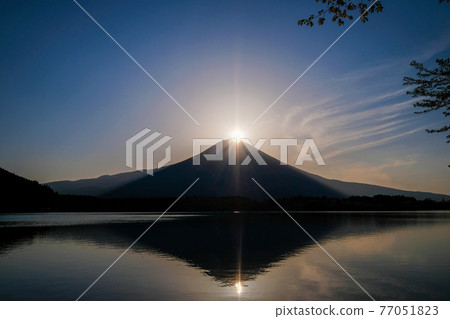 Diamond Fuji in Lake Tanuki, Fujinomiya City, Shizuoka Prefecture 77051823