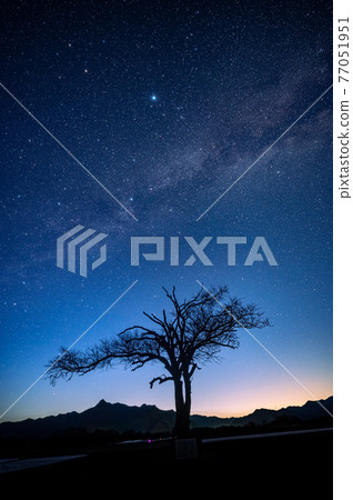 Yatsugatake Plateau Nobeyama Milky Way, Summer Constellation and Yamanashi Tree Dawn Yatsugatake Plateau Nobeyama Milky Way, Summer Constellation and Yamanashi Tree Dawn 77051951