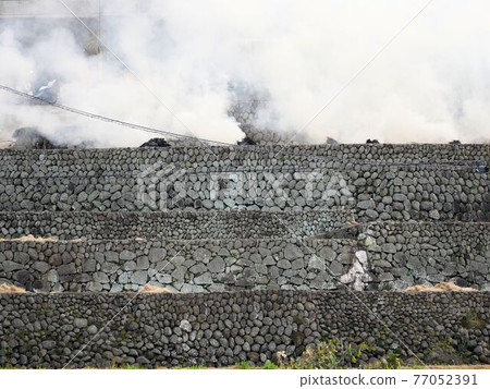 Stone wall in the shelf field (Obama-cho, Unzen City, Nagasaki Prefecture) 77052391