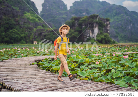 Boy in a yellow on the path among the lotus lake. Mua Cave, Ninh Binh, Vietnam. Vietnam reopens after quarantine Coronovirus COVID 19 concept 77052595