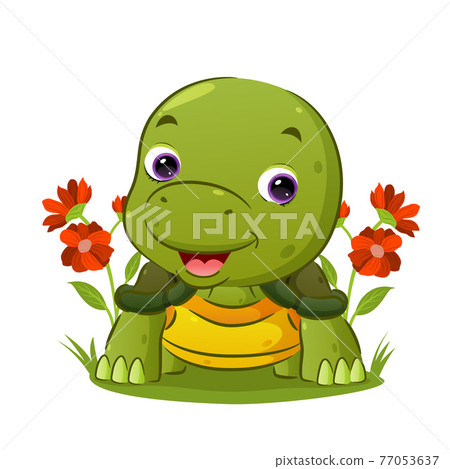 The little turtle is crawling and giving a happy face in the garden The little turtle is crawling and giving a happy face in the garden 77053637