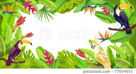 Jungle tropical frame, exotic green paradise border, toucan, parrot, banana leaves, flower, monstera 77054055