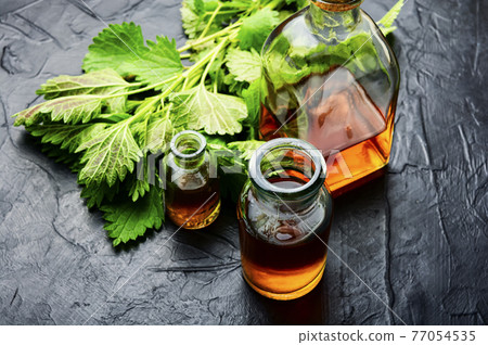Glass bottle of nettle tincture,homeopathic herbs Glass bottle of nettle tincture,homeopathic herbs 77054535