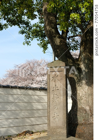 Iwasho-ji Temple of Mizutomai 77054758