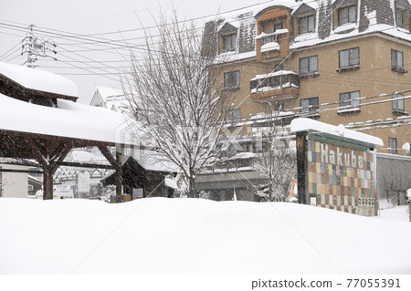 Snow scene in Hakuba Village, Nagano Prefecture Snow scene in Hakuba Village, Nagano Prefecture 77055391