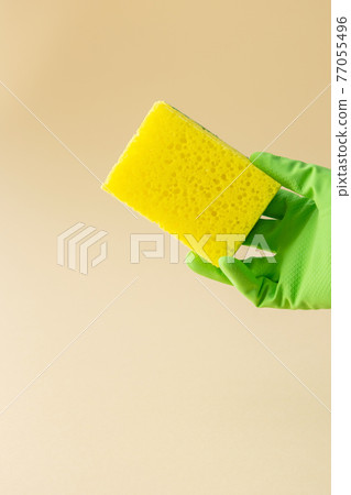 Hand in rubber glove holds dishwashing sponge Hand in rubber glove holds dishwashing sponge 77055496