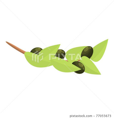 Olive branch icon, cartoon style Olive branch icon, cartoon style 77055673