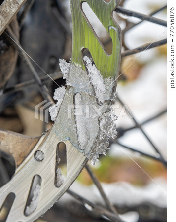 Rear disc of hydraulic disc brake on old mtb. Winter kind of bike called fatbike Rear disc of hydraulic disc brake on old mtb. Winter kind of bike called fatbike 77056076